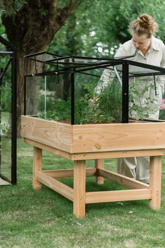Royal Well | Parsley Planter Broeikas Large | Veiligheidsglas 4 mm | Zwart