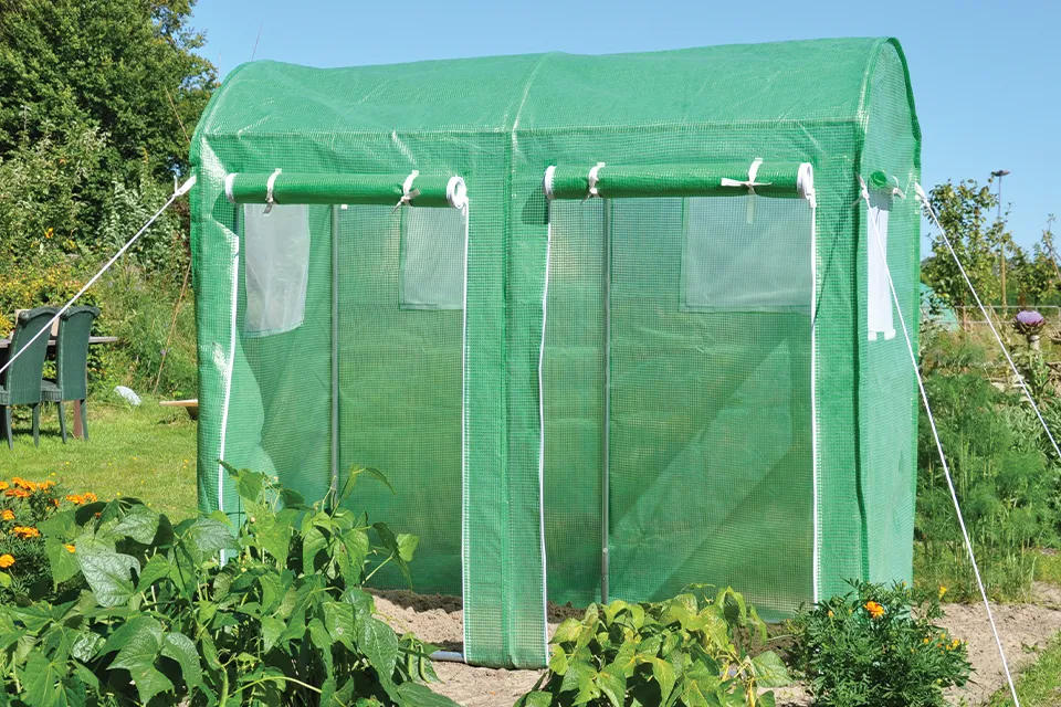 Royal Well | Maxi Tomata Galva Foliekas