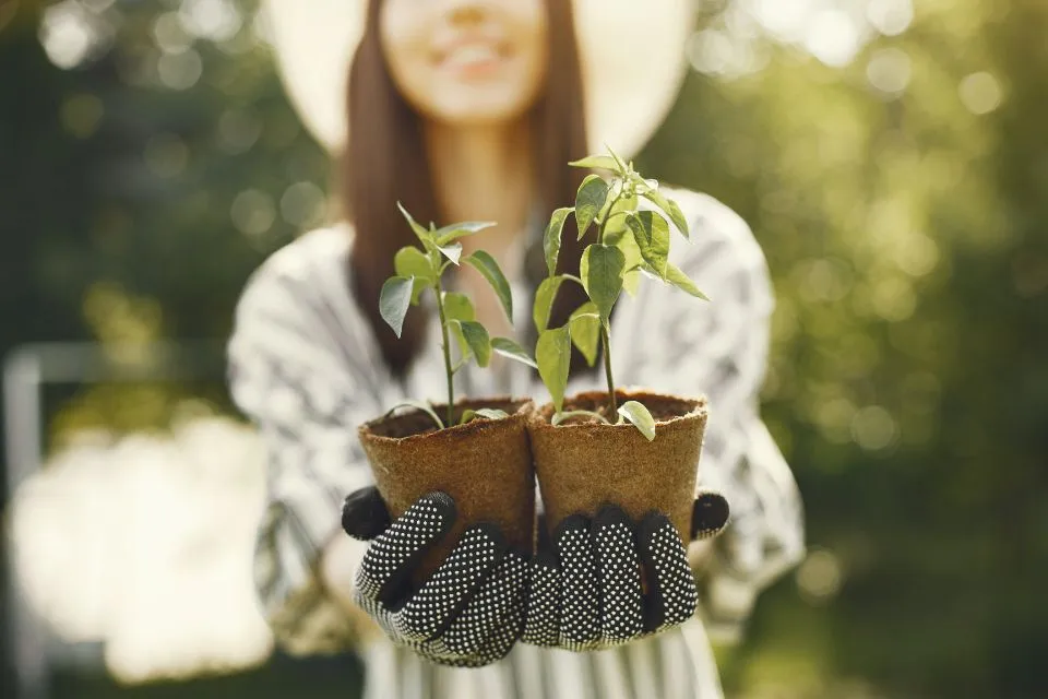 Tuinkalender februari: voorbereidingen voor het voorjaar