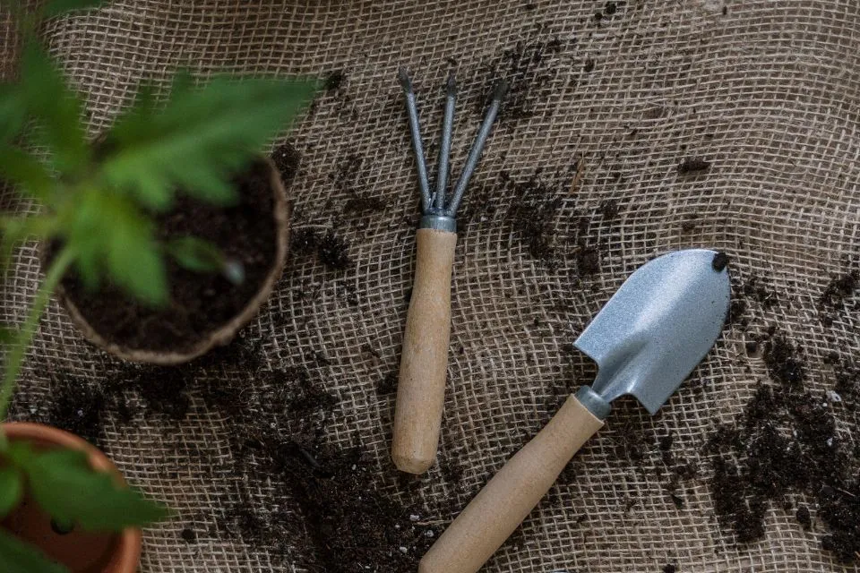 Tuintips voor de maand december