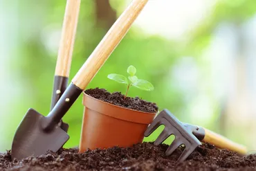 Fonteyn onderzocht: hoeveel waarde hecht men aan de tuin?