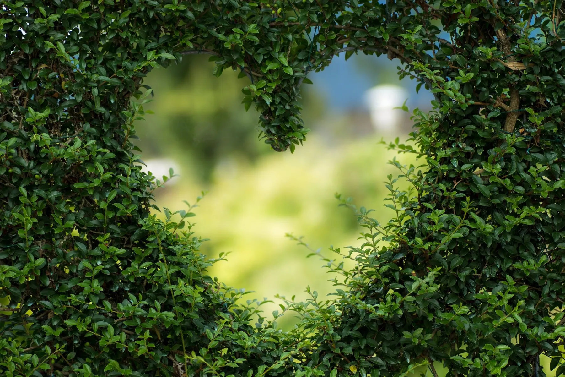 Valentijnsdag; Zo creëer je een Romantische Tuin