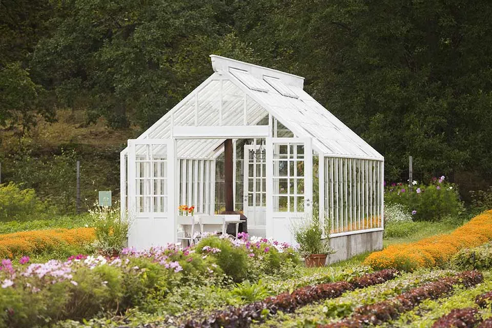 Eten van je eigen moestuin