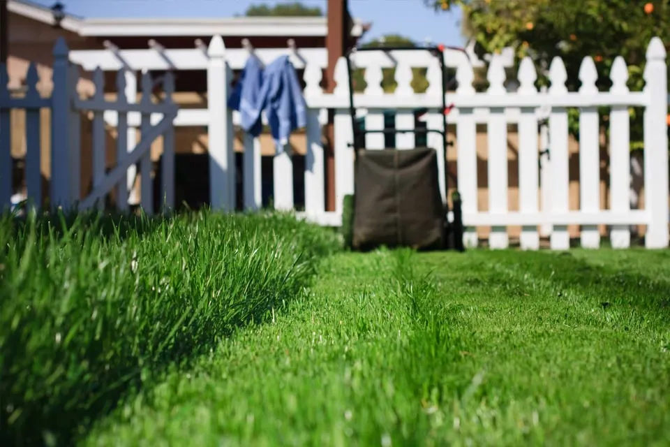 Tuintips voor augustus