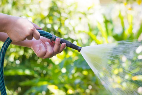 Tuintips voor juli