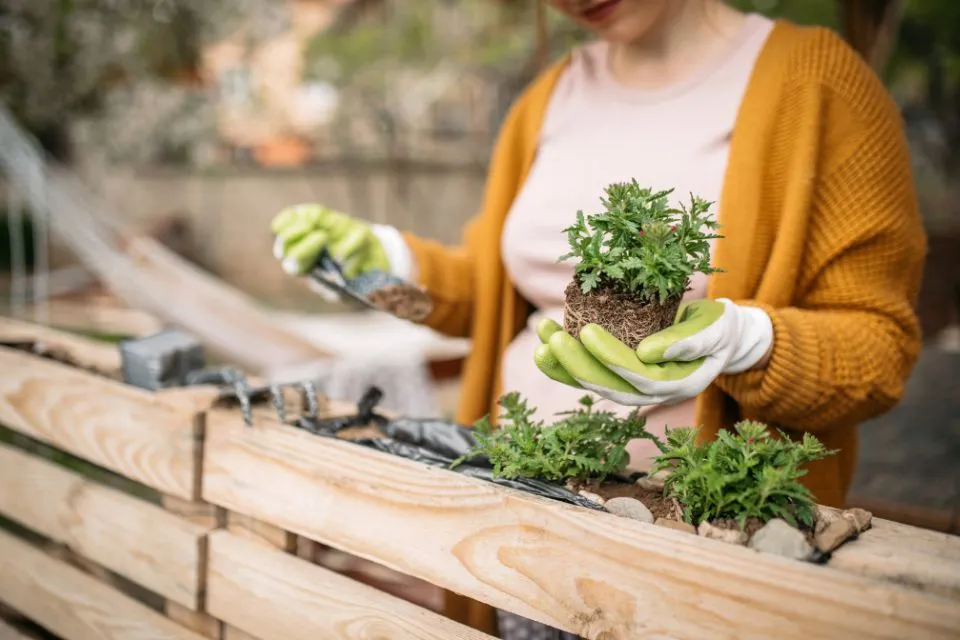 Tuinkalender april: een bloeiende start van de lente