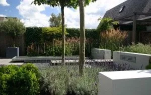 kleine tuin